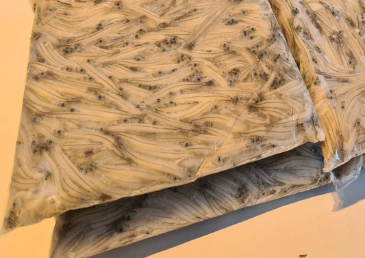 Frozen NZ Whitebait