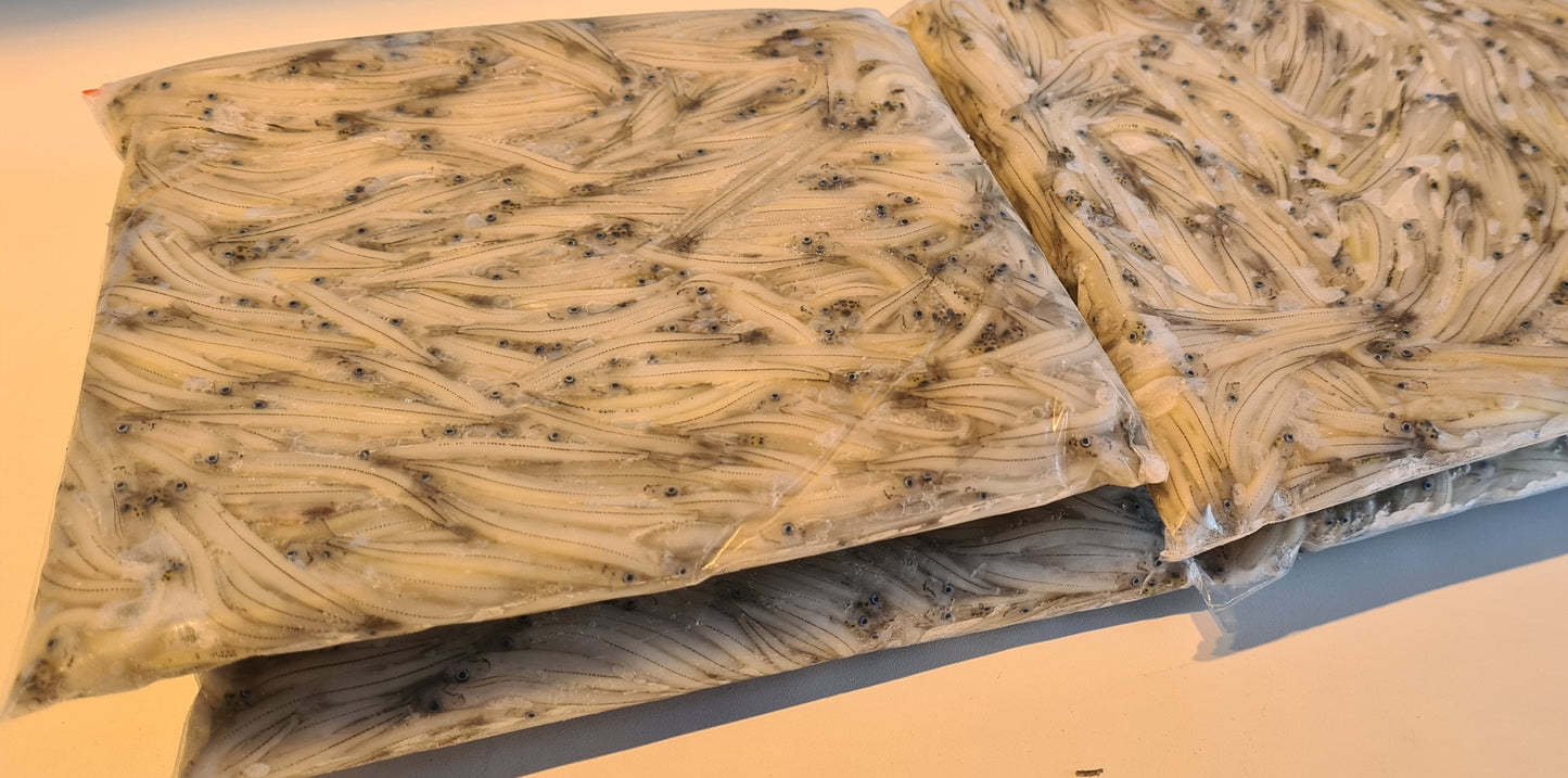 Frozen NZ South Island Whitebait 500g