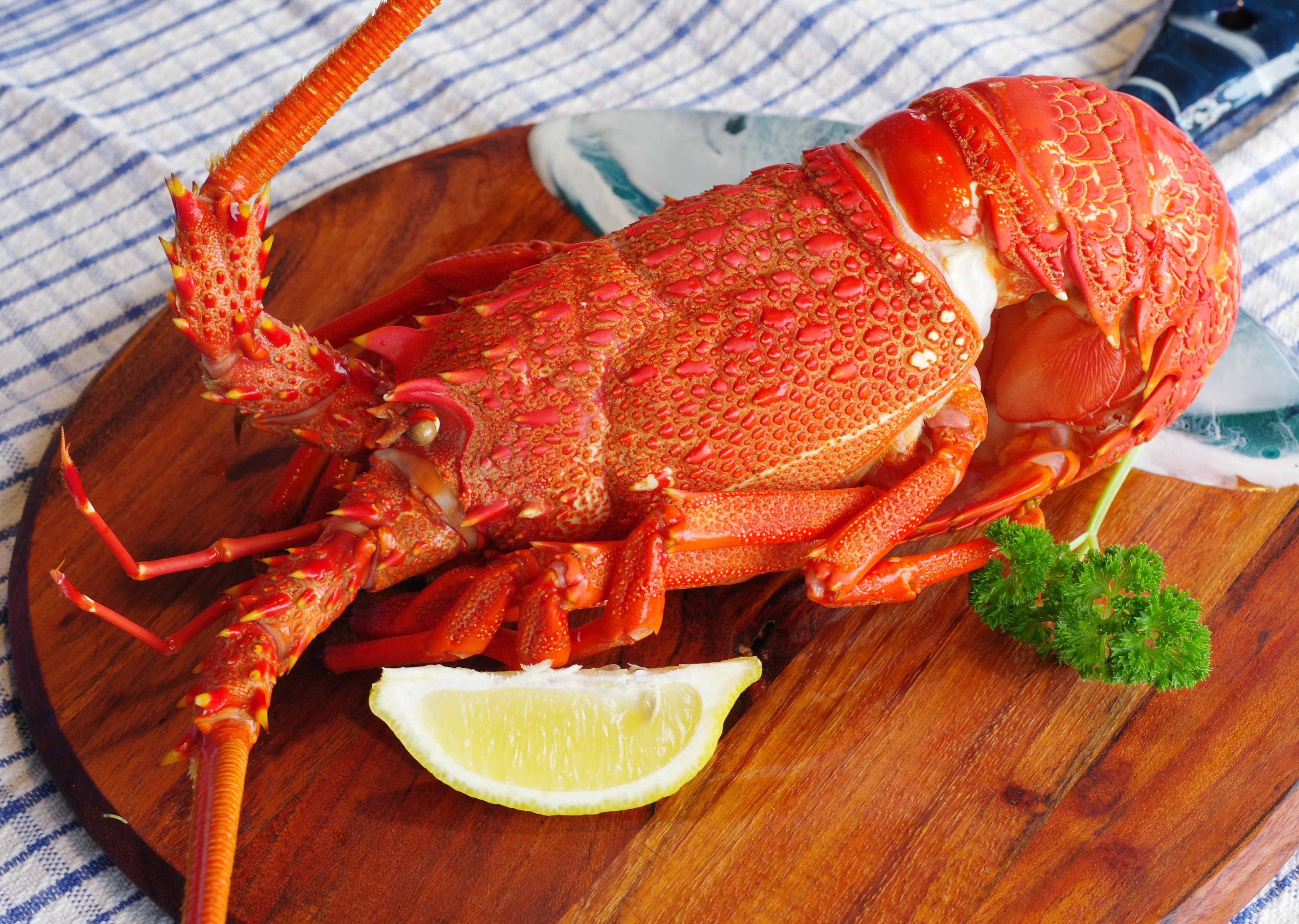 Freshly Cooked NZ Crayfish – Top of the South Seafood