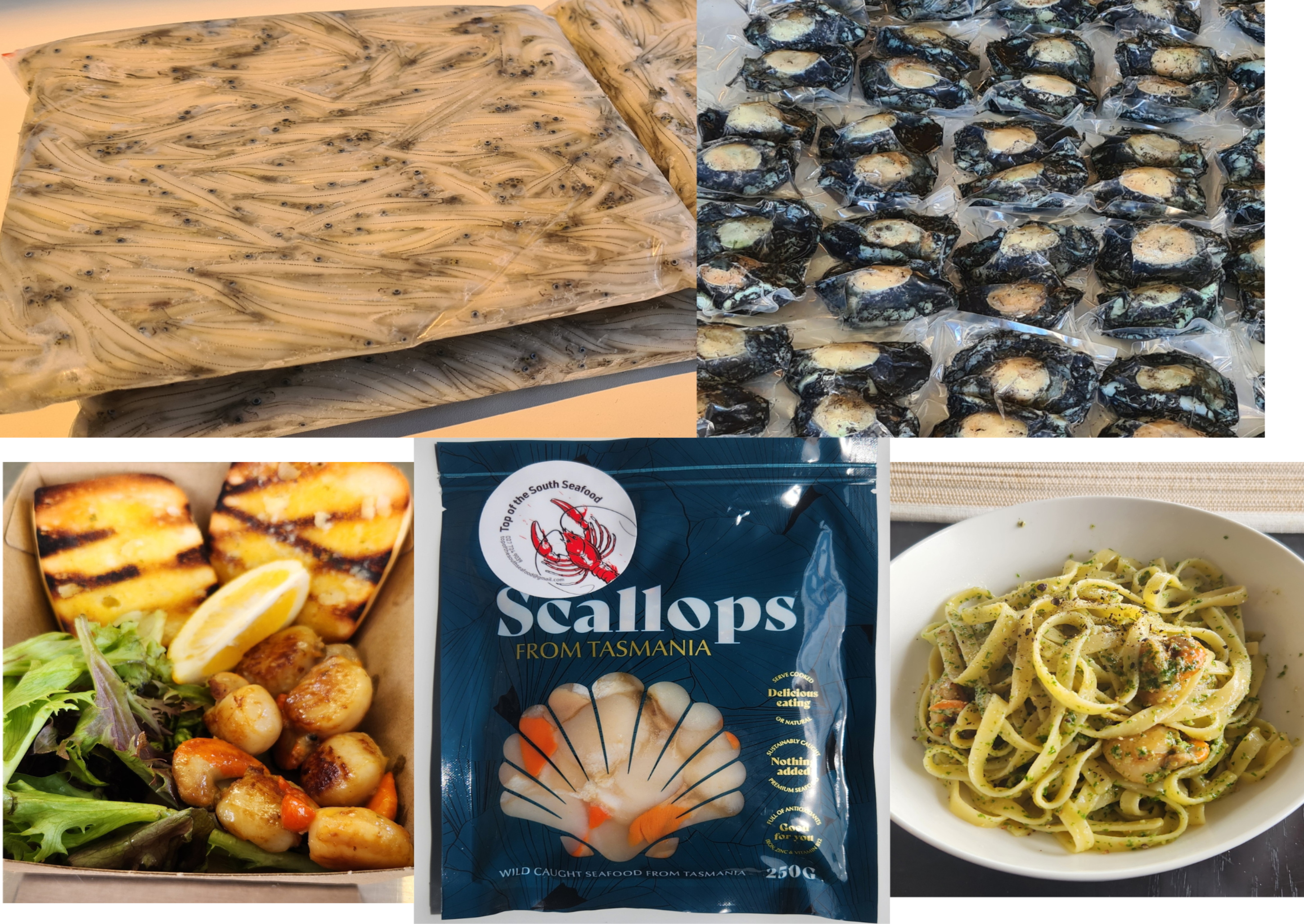 Paua – Top of the South Seafood