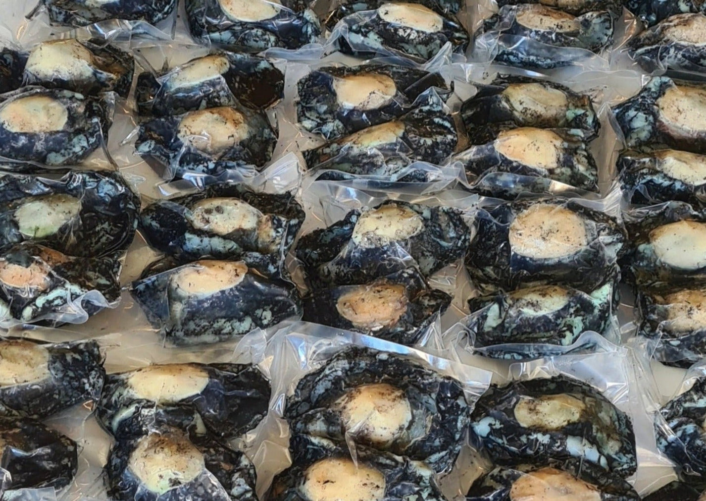 Frozen NZ Paua Meat – Top of the South Seafood