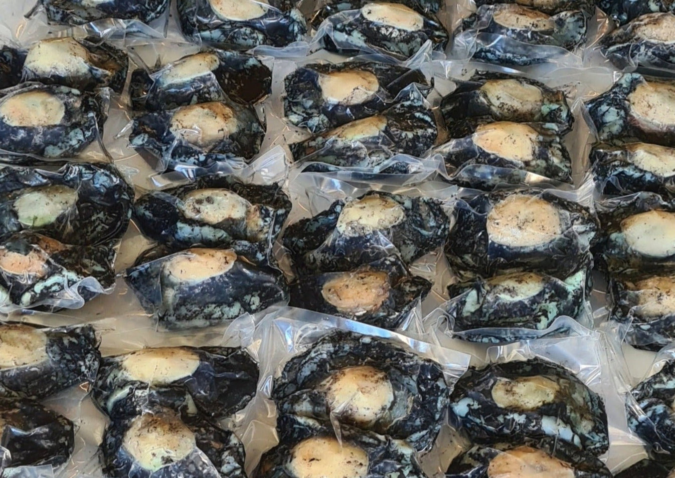 Frozen NZ Paua Meat – Top of the South Seafood