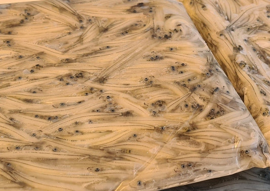 whitebait